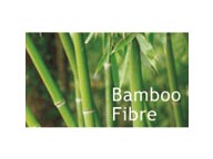 Bamboo